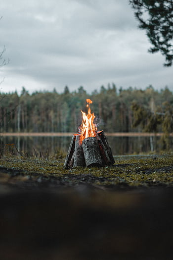 A tranquil campfire in a forest setting beside a calm lake under cloudy skies. HD phone wallpaper
