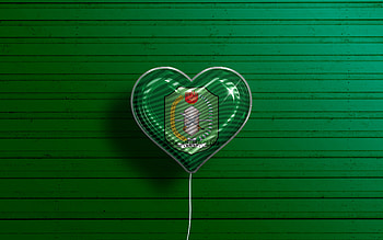 I Love West Kalimantan, , realistic balloons, green wooden background, Day of West Kalimantan, indonesian provinces, flag of West Kalimantan, Indonesia, balloon with flag, Provinces of Indonesia, West Kalimantan flag, West Kalimantan HD wallpaper