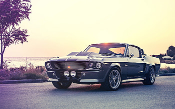 Ford Mustang Muscle Car, muscle-car, cars, ford-mustang HD wallpaper