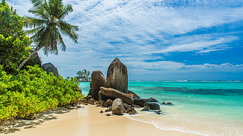 Beach at the Maldives, palm tree, plants, rocks, sea, clouds, sky HD wallpaper