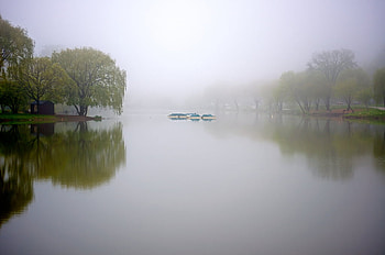 Lagoon in Reflection, lagoon, park, fog, reflection, boats, trees, nature, water, reflect HD wallpaper