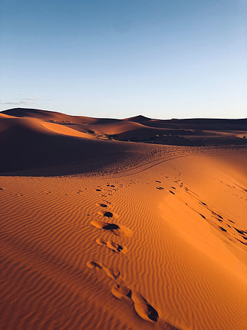 Morocco, marks, dunes, desert, sand HD phone wallpaper