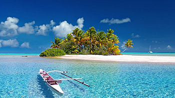 Island, South sea island, Palm tree France, mug HD wallpaper