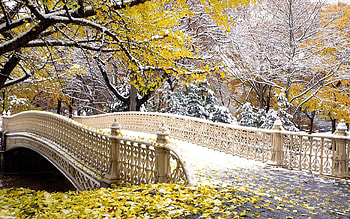 Bridge HD wallpaper