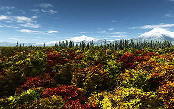 Autumn Forest, blue, covered, colors, forests, beautiful, snow, clouds, nature, sky, mountains HD wallpaper