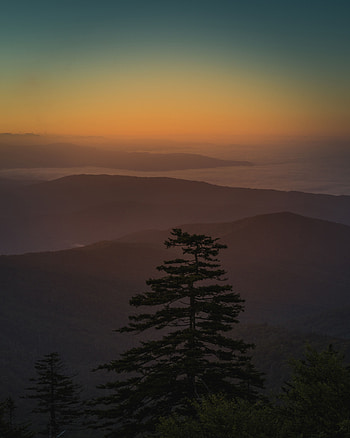 Nature, Sunset, Mountains, Clouds, Wood, Tree, Fog HD phone wallpaper