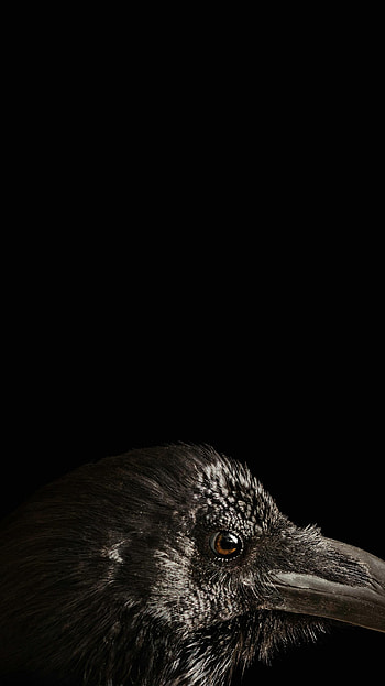 The Witch (2022) movie HD phone wallpaper