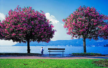 May spring , resolution, and mobile, Vibrant nature HD wallpaper