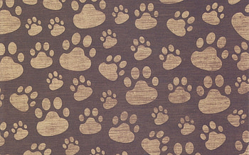 Background, Texture, Textures, Surface, , Drawing, Paws, Imprint HD wallpaper
