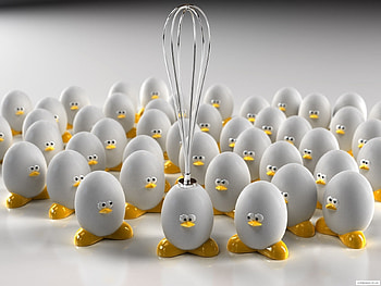 Funny HD wallpaper