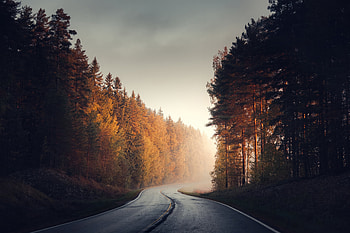 Autumn In Finland, autumn, nature, road HD wallpaper