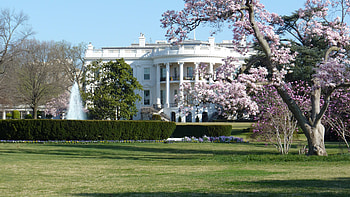 Oval Office, White House HD wallpaper