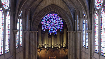 Great organ, Notre-Dame Cathedral HD wallpaper
