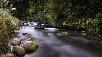 Nature, Rivers, Grass, Stones, Flow, Moss, Stream HD wallpaper