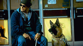 K-9 movie, Canine companion, Family-friendly, Heartwarming tale HD wallpaper