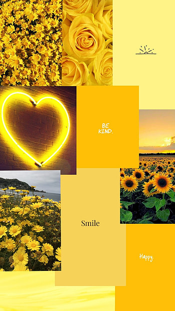 Yellow aesthetic, Quotes, Flowers, Sun, Pale HD phone wallpaper