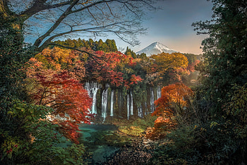 Shiraito-Falls, nature, Falls, Shiraito, japan HD wallpaper