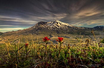 Crater life, hills, landscape, meadow, beautiful, nice, life, field, clouds, crater, nature, flowers, sky, amazing, peak, lovely HD wallpaper
