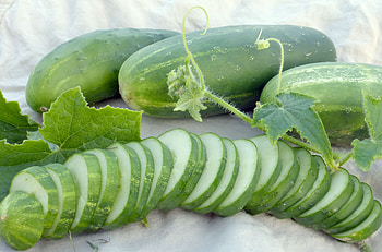 Cucumber, Ashley, Food HD wallpaper