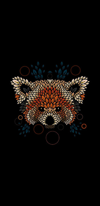 Red panda, , High-quality , Mobile backgrounds HD phone wallpaper