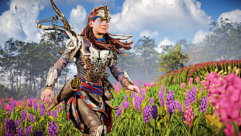 Horizon-Forbidden-West, game, Forbidden, West, Horizon HD wallpaper