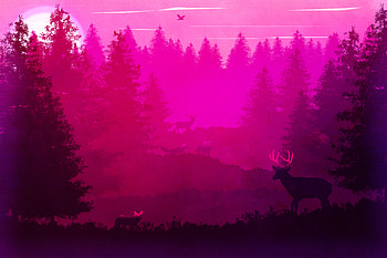 Wild Animals Forest Pink Minimalism , pink, minimalism, artist, artwork, digital-art, fox, deer, deviantart HD wallpaper