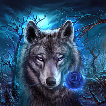 Wolf with rose, whiskers, art HD phone wallpaper
