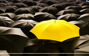 Be unique, black, umbrellas, yellow, unique, different HD wallpaper