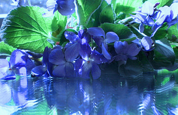 Blue reflection, color, expression, , new HD wallpaper