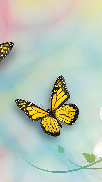 Yellow Butterfly, Beautiful Aesthetic HD phone wallpaper