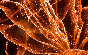 Abstract, Fire, Bright, Lines, Points, Point HD wallpaper