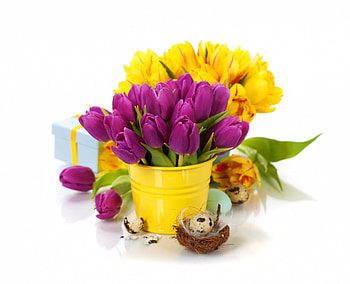 Happy Easter!, egg, tulip, white, vase, nest, purple, flower, yellow, card, easter HD wallpaper