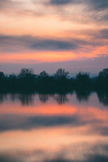 Nature, Rivers, Trees, Sunset, Horizon, Reflection HD phone wallpaper