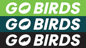 Go Birds — Philadelphia Eagles, Sports, football, Philadelphia Eagles, NFL HD wallpaper