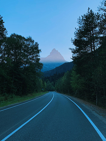 Nature, Trees, Mountains, Road, Markup, Branches HD phone wallpaper