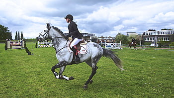 Rider on a gray horse performing show jumping outdoors. Captured action shot. HD wallpaper