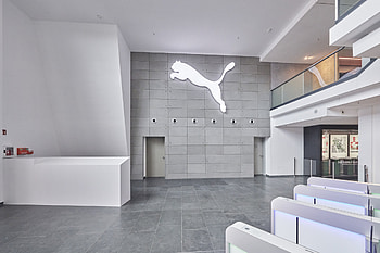 Puma, Godelmann, Stein Erfinder, Brand store HD wallpaper