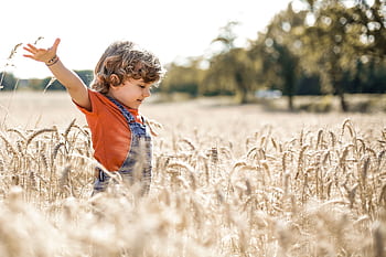 A cheerful child with arms outstretched enjoying a sunny day in a lush wheat field. HD wallpaper