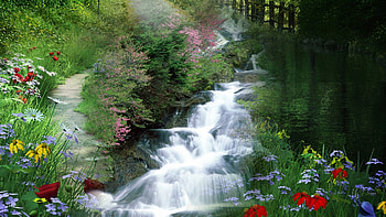 Waterfall Collage, summer, woods, path, waterfalls, flowers, spring, forest, collage HD wallpaper