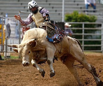 International Youth Finals Rodeo 2010, Bullriding HD wallpaper