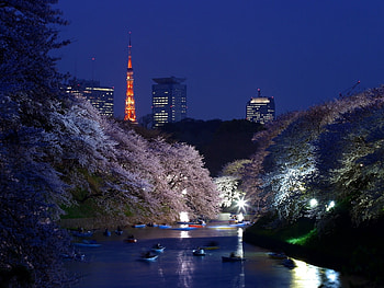 Landscape, Cities, Rivers, Trees HD wallpaper