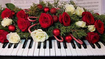 Spread Love, Flowers, Roses, Yellow, red HD wallpaper