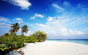 Beach Â· Nature Beach HD wallpaper