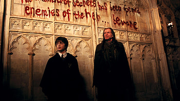 Preview harry potter and the chamber of secrets, harry potter, severus snape HD wallpaper