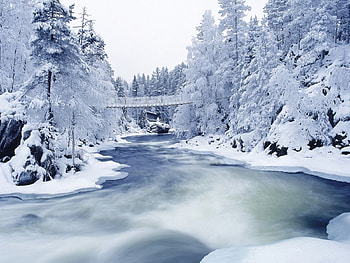 Landscape, Winter, Rivers, Trees, Snow HD wallpaper