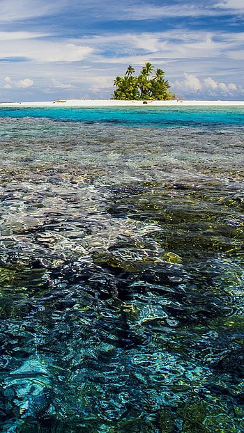 Tuvalu travels, Marine park, Windows 10 spotlight , Natural wonders HD phone wallpaper