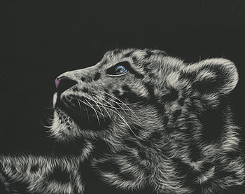 Snow leopard, animal, white, black, art, bw, cat, pisica, luminos HD wallpaper