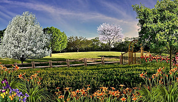 Spring Scenery, Nature, Flower, Spring, Tree HD wallpaper