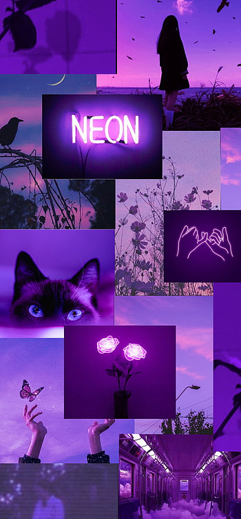 Purple, aesthetic HD phone wallpaper