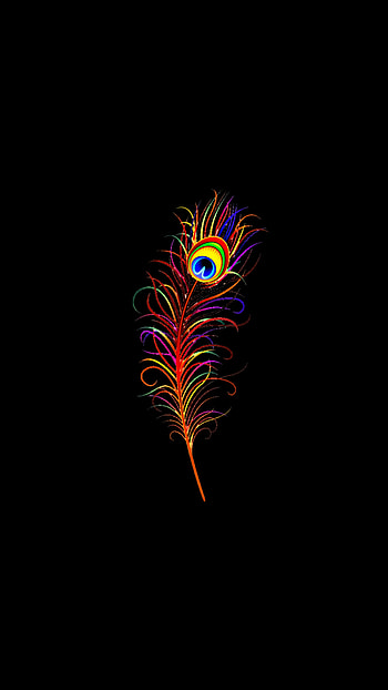 Peacock Feather, Vasudev, Vishnu, Krishna, Peacockfeather, Narayan, Krisna HD phone wallpaper